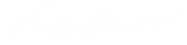 VardMov logo white